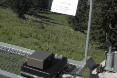 DGV1