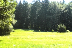 IQP1