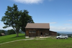BSH1