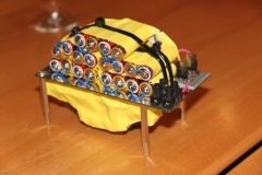 NMD_2012_020