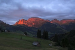 IQW_1