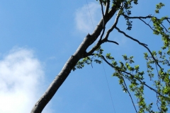 hb9cga_7