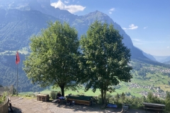 BXQ3