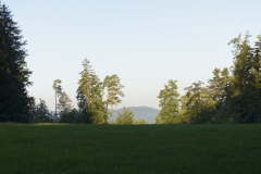 CEV2